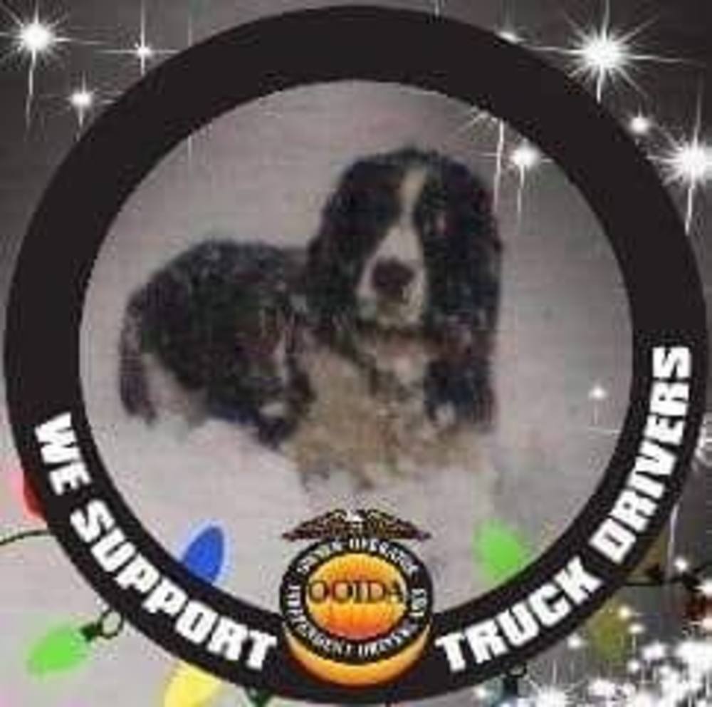 Meet your Posher, Cathie